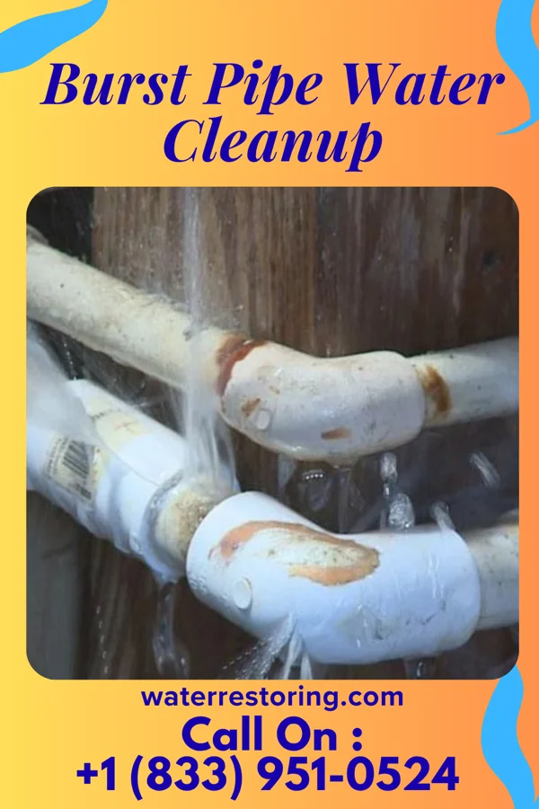 Burst Pipe Water Cleanup in Clarkson Valley, MO
